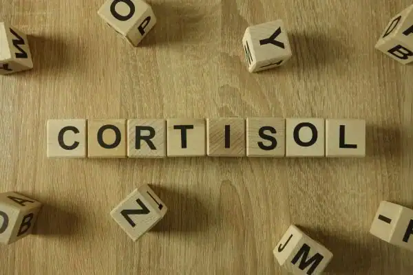 The Hidden Connection: How Stress Shapes Your Fitness and Body Composition 2 Image saying "Cortisol" and how stress Melton Mowbray impacts your wellbeing and bodies shape